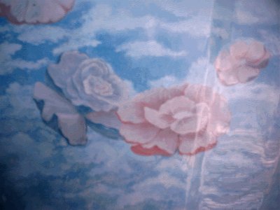 img8.gif