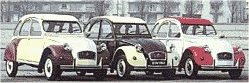 img13.gif