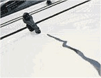 img9.gif