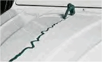 img2.gif
